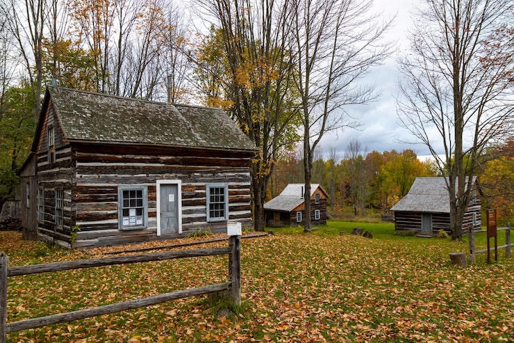 old-victoria-historical-site-surrounded-by-dried-leaves-bare-trees-autumn-michigan-us_665346-6233